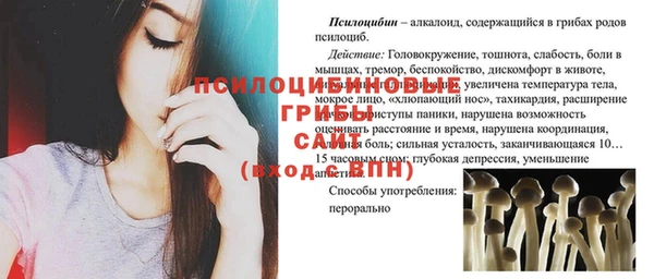 шишки Алзамай